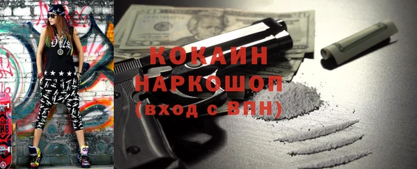 твердый Гусь-Хрустальный