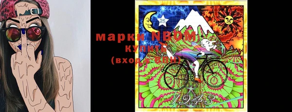 твердый Гусь-Хрустальный