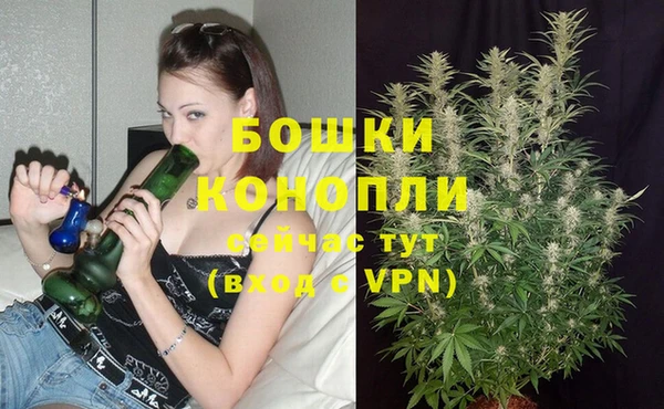гидропоника Гусев