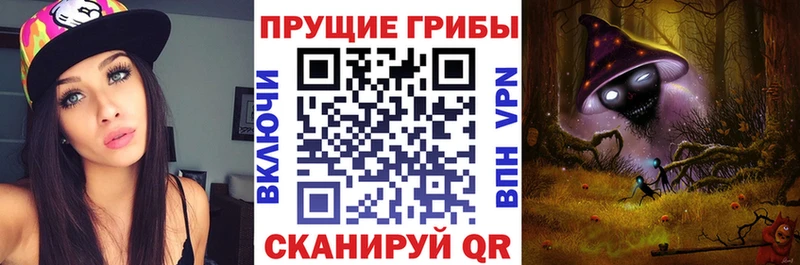 Псилоцибиновые грибы прущие грибы  Сенгилей 